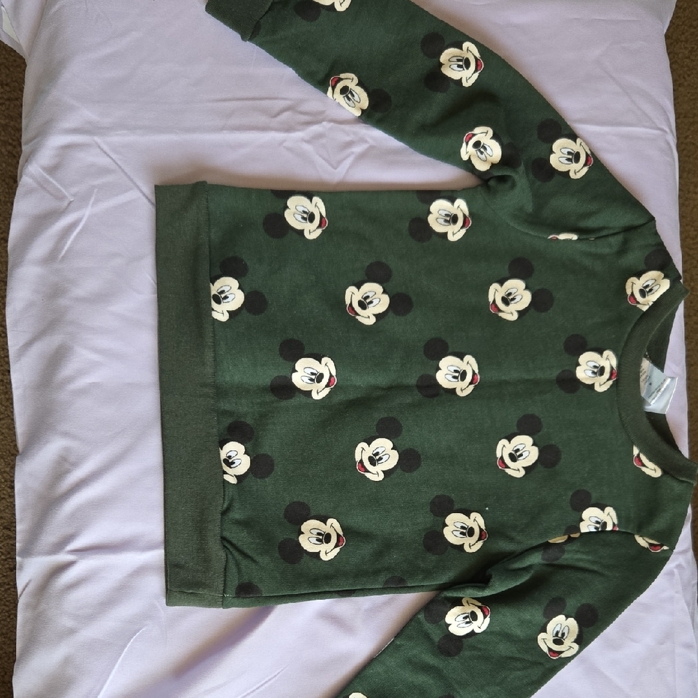 Disney Green Floral Sweatshirt